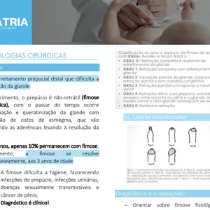 Imagem de capa para o Ebook Patologias Cirúrgicas 