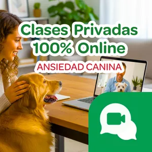 Imagen de portada para Curso online Clases privadas 100% online