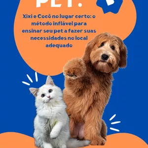 Imagem de capa para o Ebook PET, ensine seu bichinho a fazer xixi/cocô no lugar certo.