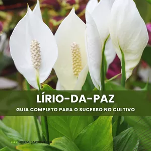 Imagem de capa para o Ebook Domine o Cultivo do Lírio-da-paz: Guia Completo para Jardineiros
