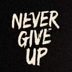 Imagem de capa para o Curso online Never Give Up