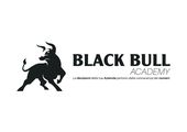 Black Bull Academy logo
