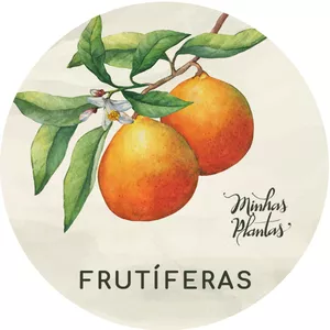Imagem de capa para o Curso online Frutíferas – com Carol Costa