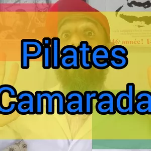 Imagem de capa para o Curso online Pilates Camarada