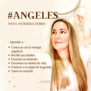 Imagen de portada para Curso online #ANGELES. Nivel Introductorio