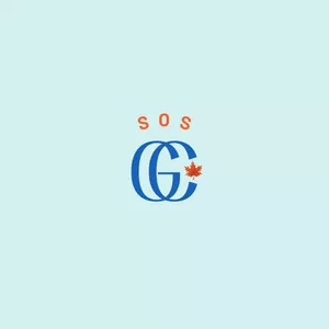 Imagem de capa para o Curso online SOS Gramado e Canela