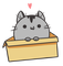 Taty Miau
