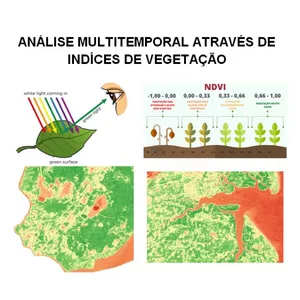 Imagem principal do produto Análise Multitemporal através de índices de vegetação