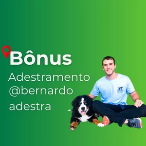 Imagem de capa para o Curso online Adestramento com @bernardoadestra
