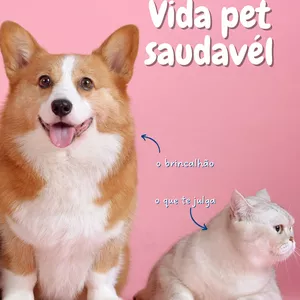Imagem de capa para o Ebook Vida Pet Saudável: O Guia Definitivo para Cuidar do Seu Animal