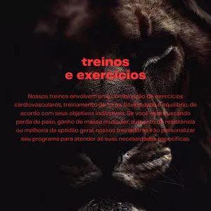 Imagem de capa para o Ebook 🏋️‍♀️ Descubra a Assessoria DP10 Team: Seu Caminho para o Sucesso Fitness! 🚀