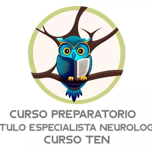 Imagem de capa para o Curso online Neurocurso TEN - Preparatório Prova Título de Especialista em Neurologia Clínica