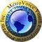 MetroVoice Youth Entrepreneurs Program