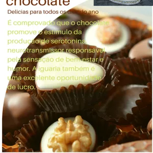 Imagem do curso FABRICA DE CHOCOLATE