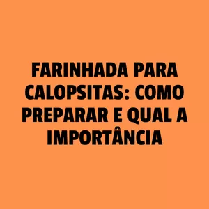 Imagem de capa para o Curso online Farinhada com Moringa