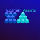 Examini Assets