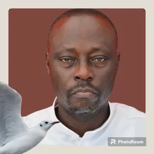 Cover image for Online course Kwaku Antwi-Agyei 