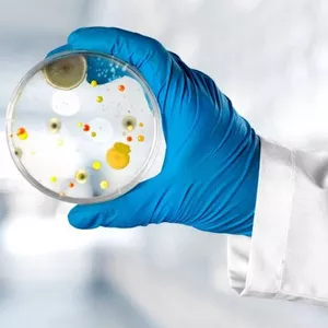 Imagem de capa para o Curso online Microbiologia Aplicada à Saúde 