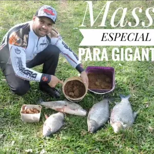 Imagem de capa para o Curso online Massa Matadeira. Simples de fazer, poderosa na água!