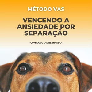 Imagem de capa para o Curso online Vencendo a Ansiedade por Separação Canina