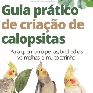 Imagem de capa para o Ebook Guia prático de criação de calopsitas 