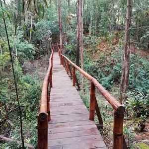 Imagen de portada para Ebook 9 Pasos para salir GANADOR de tu ruptura amorosa