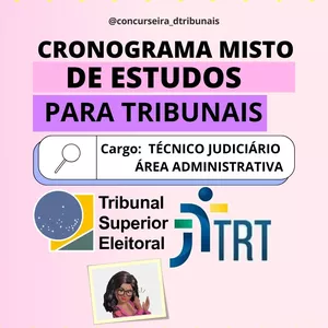 Imagem de capa para o Curso online CRONOGRAMA MISTO 40 DIAS PARA CONCURSO CARGO TJAA TRT + TRE