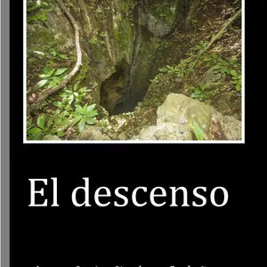 Imagen de portada para Ebook El descenso