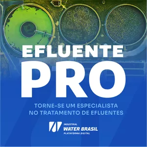 Imagem de capa para o Curso online EFLUENTE PRO