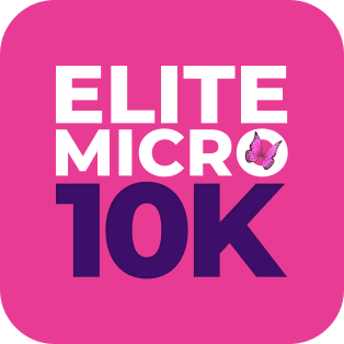 Imagem do curso Elite da Micro 10k