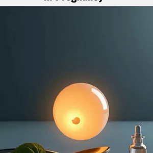 Cover image for Ebook The Essential Role of Folic Acid in Pregnancy