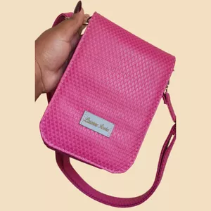 Imagem de capa para o Curso online Bolsa Amélia