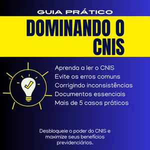 Imagem de capa para o Ebook Dominando o CNIS - Guia Prático