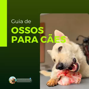 Imagem de capa para o Ebook Guia de Ossos para Cães