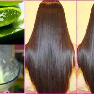 Imagem de capa para o Ebook Tratamentos  Caseiros para o Cabelo Perfeito