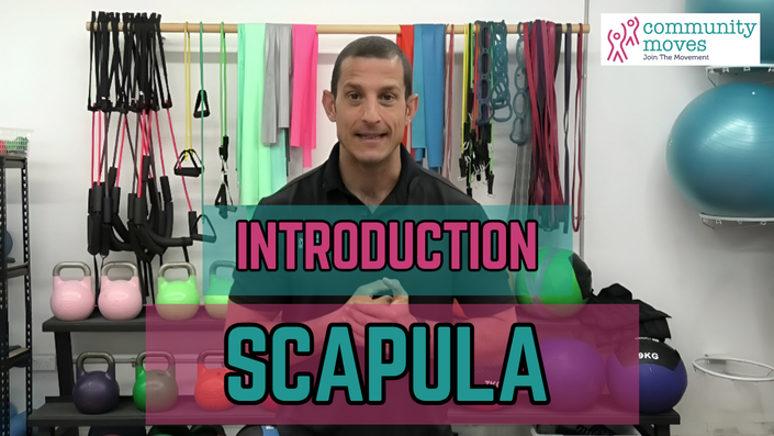 Scapula (Shoulder #1)