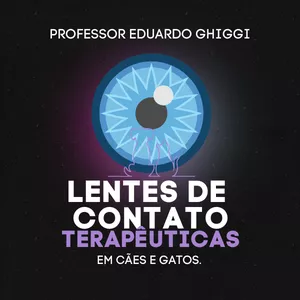 Imagem de capa para o Curso online Córnea e Lentes de Contato Terapêuticas Veterinárias
