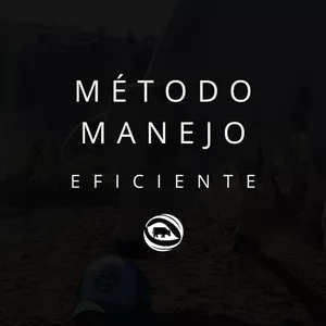 Imagem de capa para o Curso online Método de Manejo de Pastagem