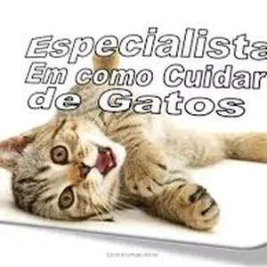Imagem de capa para o Ebook Como Criar um Gato Feliz e Saudável