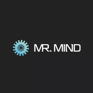 Imagem de capa para o Curso online MISTER MIND ASS | MR INS