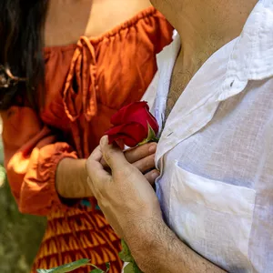 Imagem de capa para o Curso online Pétala Soletrada Pelo Vento (Livro Digital)