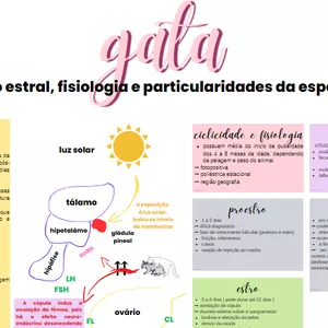 Imagem de capa para o Ebook MAPA MENTAL CICLO ESTRAL DA GATA