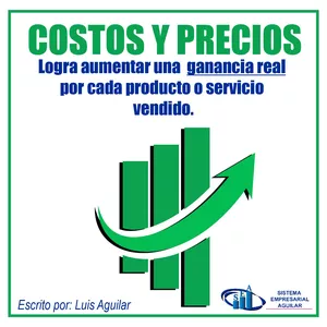 Imagen de portada para Ebook Costos y precios: Logra aumentar una ganancia real por cada producto o servicio vendido
