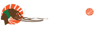 Divine Dreadlocks Training