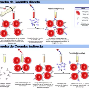 Imagen de portada para Curso online Imagen primer exclusiva