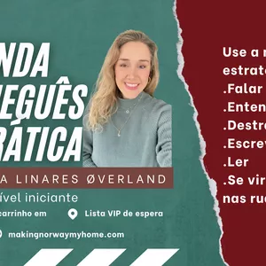 Imagem de capa para o Curso online Aprenda norueguês na prática. 