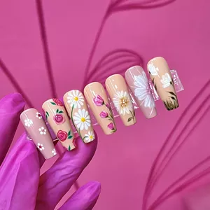 Imagem do curso Flores y Arabescos - Nail Art