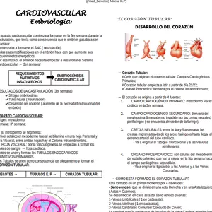 Imagen de portada para Curso online SEMANA 2 ERA 3 