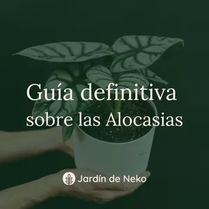 Imagen de portada para Ebook Guía Definitiva sobre las Alocasias
