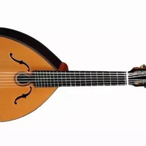 Imagen de portada para Curso online Laúd